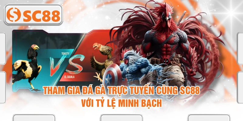 Tham Gia Đá Gà Trực Tuyến Cùng SC88 Với Tỷ Lệ Minh Bạch